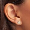 Aretes Pandora De Zirconita Cúbica Con Hojas Brillantes 2