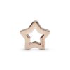 Charm-Pandora-Reflexions-Sleek-Star-Clip-Rose-Gold-3.jpg